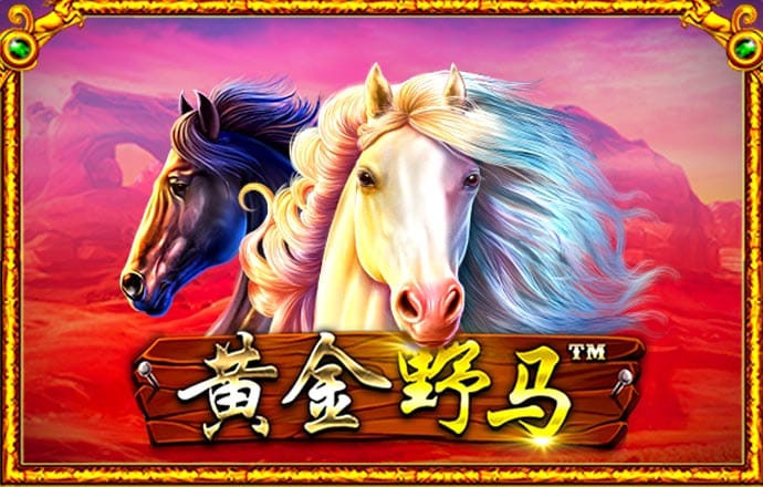 m6手机网页版登录